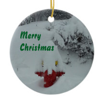 Funny Snow-covered Fire Hydrant