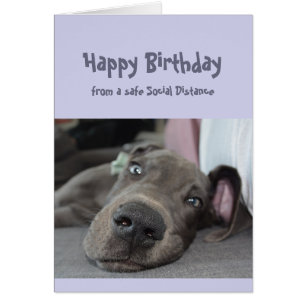 Funny Social Distancing Birthday Great Dane Dog Cards