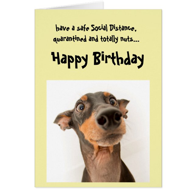 Funny Social Distancing Birthday Mini Doberman Dog Cards (Front)