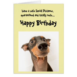 Funny Social Distancing Birthday Mini Doberman Dog Cards