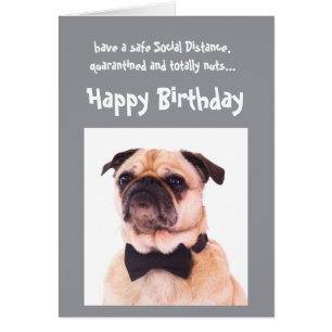 Funny Social Distancing Birthday Well Dressed Dog Cards