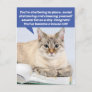 Funny Social Distancing House Cat Postcard