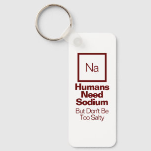 Funny Sodium Chemistry Pun Keychain