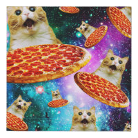 Funny space pizza cat