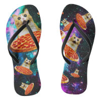 Funny space pizza cat