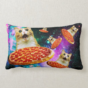 Funny space pizza cat lumbar pillow