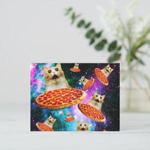 Funny space pizza cat postcard