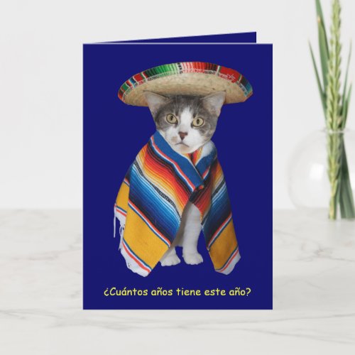 Funny Spanish CatKitty Birthday Card