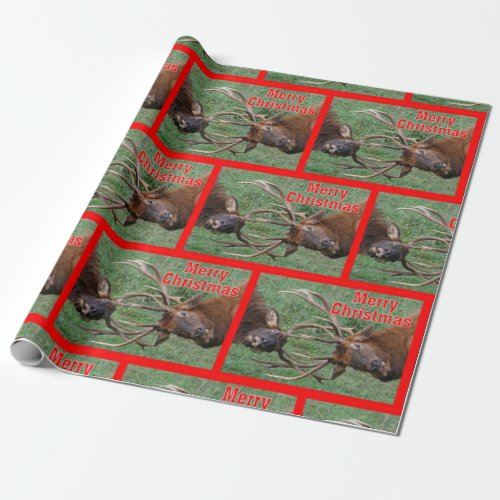 Funny Sparring Bull Elk Merry Christmas Wrapping Paper