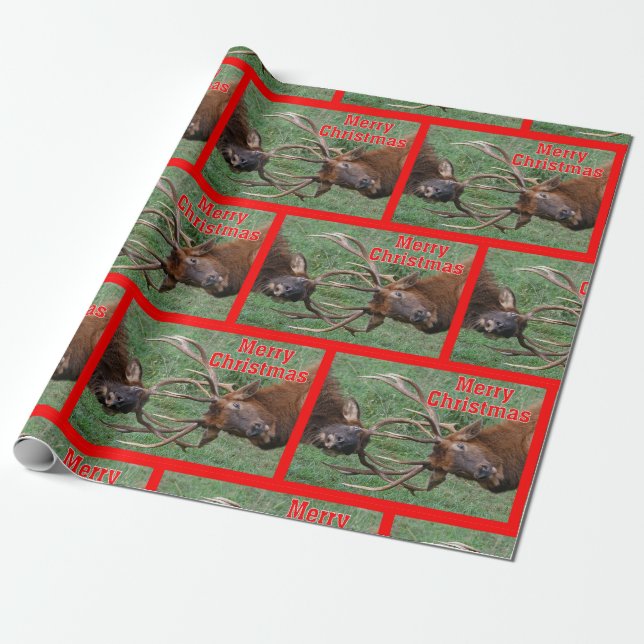 Funny Sparring Bull Elk Merry Christmas Wrapping Paper (Unrolled)