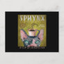 Funny Sphynx Cat Coffee Co. A Cup Of Character Postcard