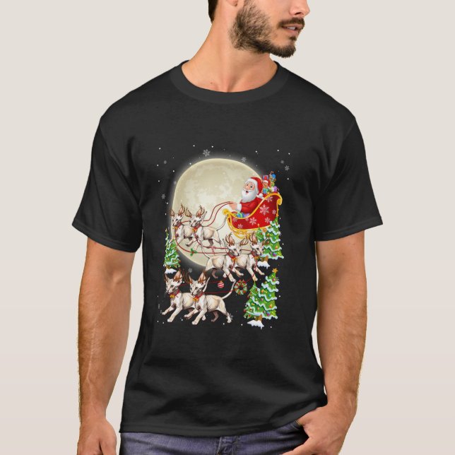 Funny Sphynx Cat Reindeer Santa Sleigh Merry Chris T-Shirt (Front)
