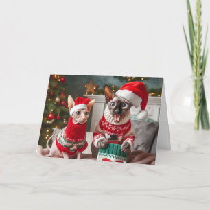Funny Sphynx Cats Christmas Card