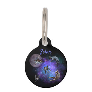 Funny Sphynx Cats Space Floating Galaxy Cat Pet ID Tag