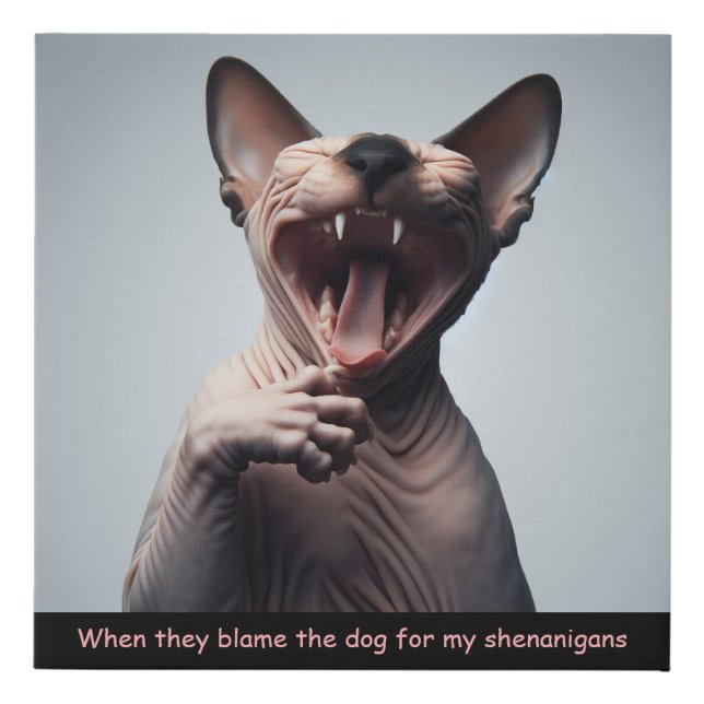 Funny Sphynx  Faux Canvas Print (Front)
