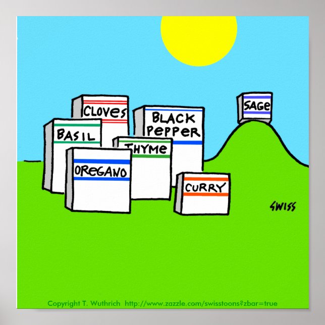 Funny Spices Bright Colorful Cartoon Kitchen Poster (Front)