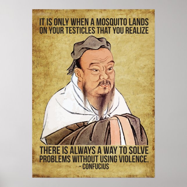 Funny Spiritual Quote - Mosquito on Testicles Poster (Front)