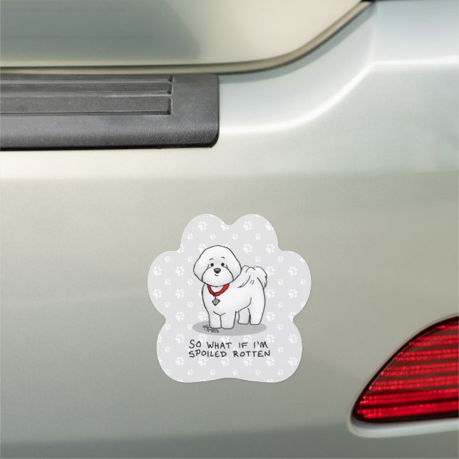 Funny Spoiled Rotten Bichon Frise Dog - Cute Car Magnet (In Situ)