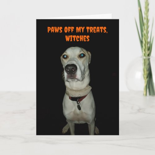 Funny Spooky Dog Paws Off My Treats Halloween Card