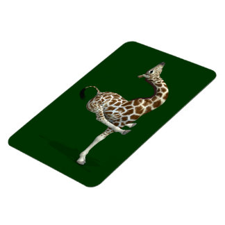 Funny Sporty Giraffe Magnet