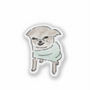 Funny Squinting Chihuahua In Mint Sweater Sticker