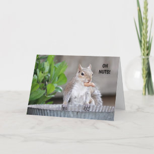 Funny Squirrel Belated Birthday Letterpress Thank You Card