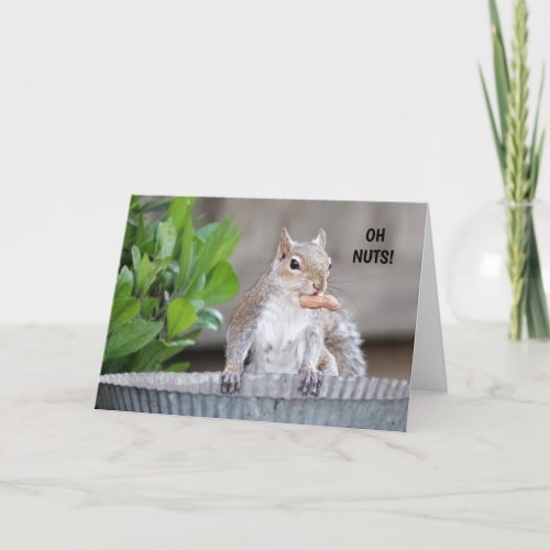 Funny Squirrel Belated Birthday Thank You Card