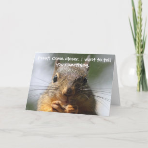 Funny Squirrel Birthday Card