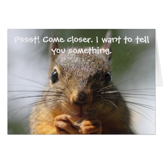Funny Squirrel Birthday Card Zazzle