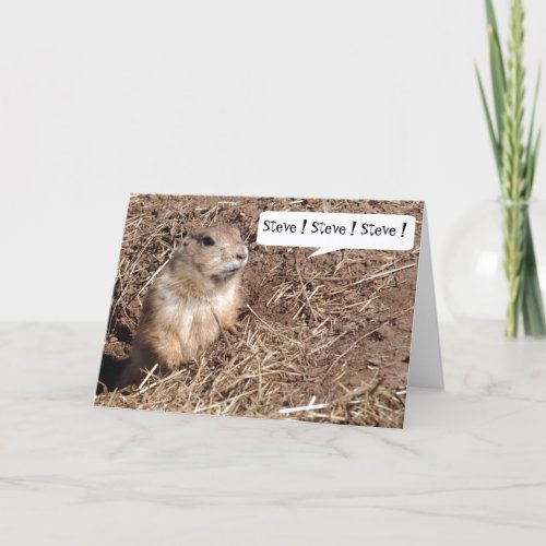 Funny Squirrel Birthday Card