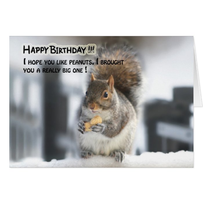 Funny squirrel birthday card - Big peanut | Zazzle