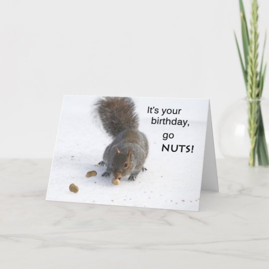 Funny squirrel birthday card - Go nuts | Zazzle.com