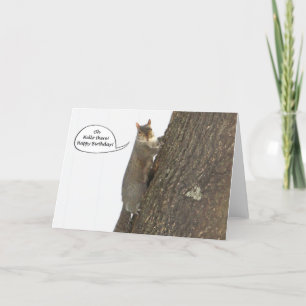 Funny squirrel birthday card - Hello there