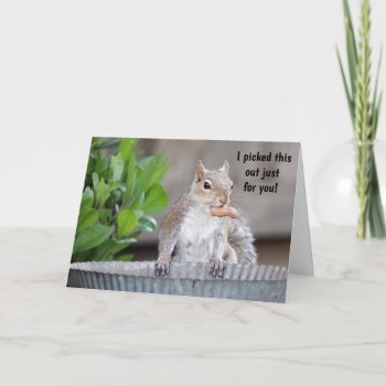 Funny Squirrel Birthday For Dear Friend Card by PicturesByDesign at Zazzle