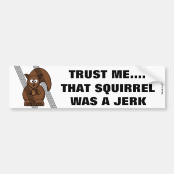 Funny Squirrel Bumper Sticker by Hodge_Retailers at Zazzle