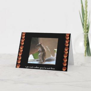 Funny Squirrel Card, Miss You, Go Nuts Card