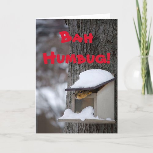 Funny Squirrel Christmas greeting card