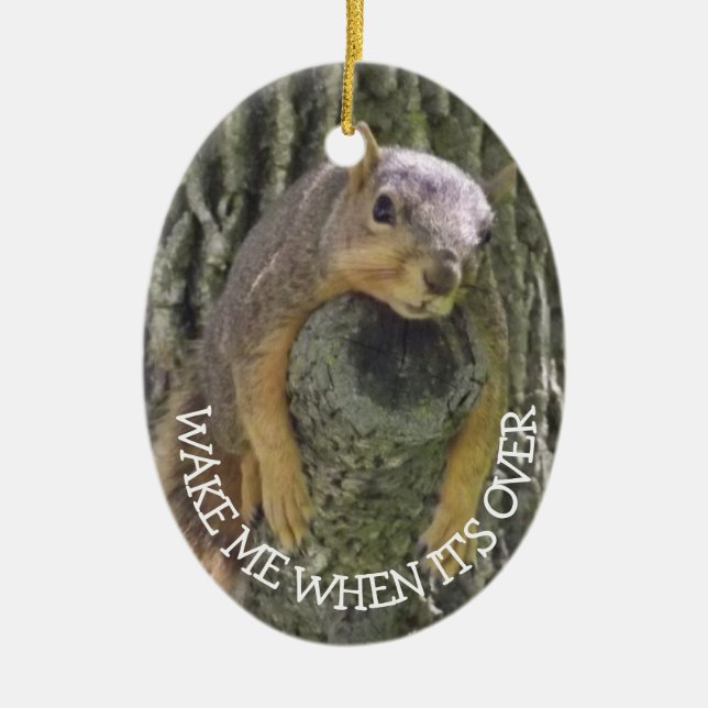 Funny Squirrel Christmas Humor Ceramic Ornament (Front)