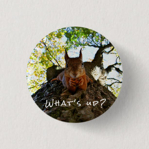 Funny Squirrel Cute Animals Hello There From Hi Button