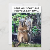 Funny Squirrel Deez Nuts Adult Humor Birthday Card | Zazzle