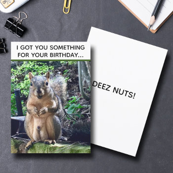 Funny Squirrel Deez Nuts Adult Humor Birthday Card by epicdesigns at Zazzle