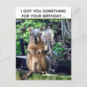 Funny Squirrel Deez Nuts Inappropriate Birthday Postcard