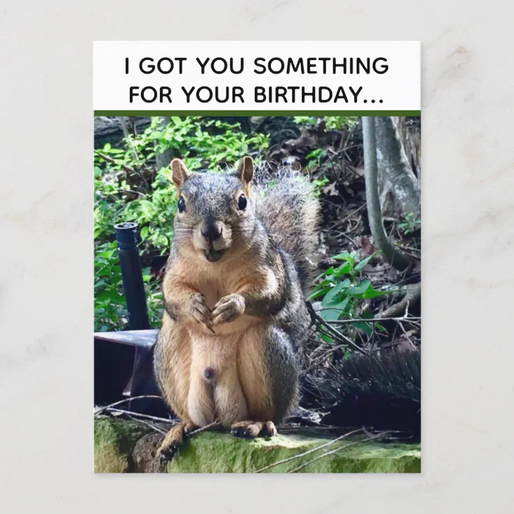 Funny Squirrel Deez Nuts Inappropriate Birthday Postcard | Zazzle