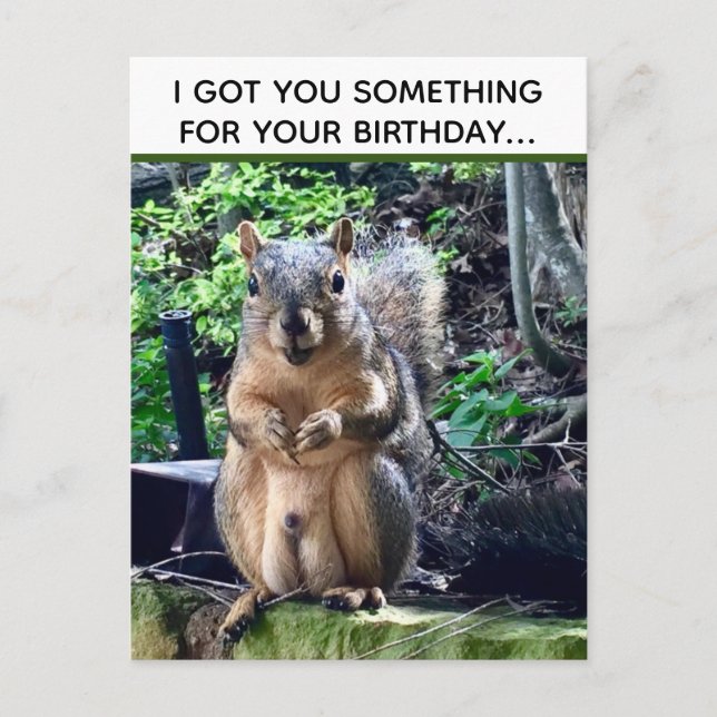 Funny Squirrel Deez Nuts Inappropriate Birthday Postcard (Front)