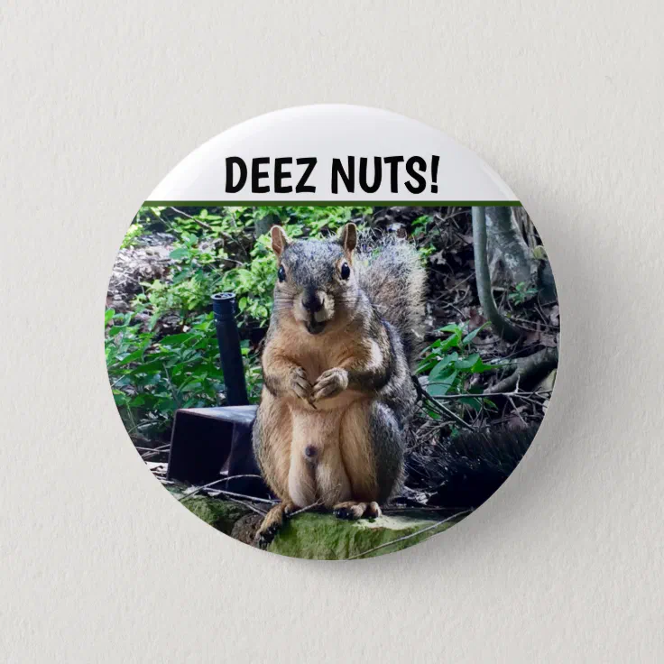 Funny Squirrel Deez Nuts Inappropriate Humor Photo Button | Zazzle