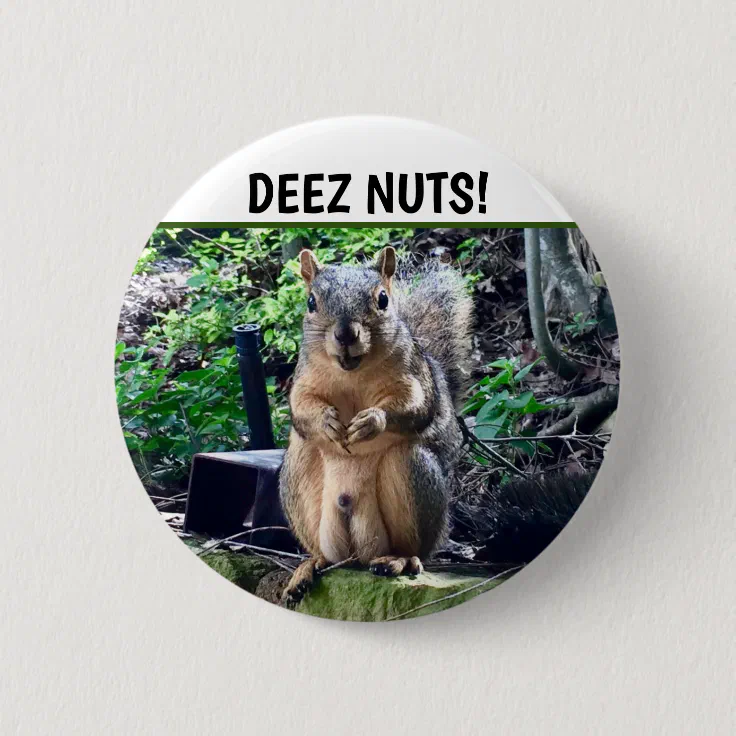 Funny Squirrel Deez Nuts Inappropriate Humor Photo Button | Zazzle Funny Squirrel Deez Nuts Inappropriate Humor Photo Button | Zazzle