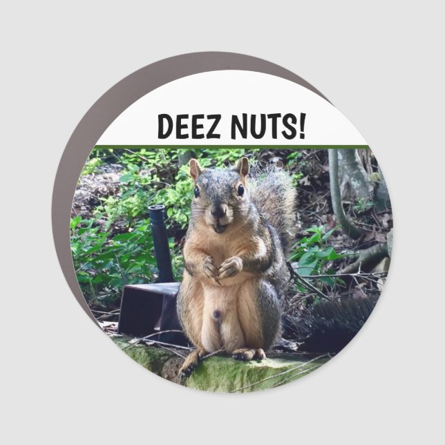 Funny Squirrel Deez Nuts Inappropriate Humor Photo Car Magnet (Front)
