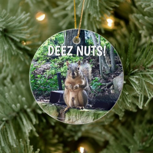 Funny Squirrel Deez Nuts Inappropriate Humor Photo Ceramic Ornament