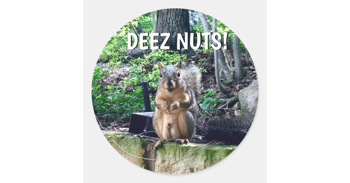 Funny Squirrel Deez Nuts Inappropriate Humor Photo Classic Round