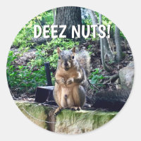 Funny Squirrel Deez Nuts Inappropriate Humor Photo Classic Round Sticker
